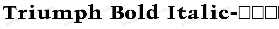 Triumph Bold Italic字体转换